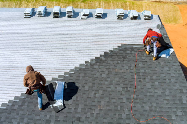 Best Metal Roofing Contractor  in Lyndon, KS